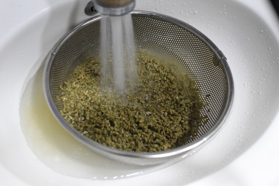 Shine Muscat grape vineyard in a test plot, daytime, vines in orderly rows, grape clusters visible a