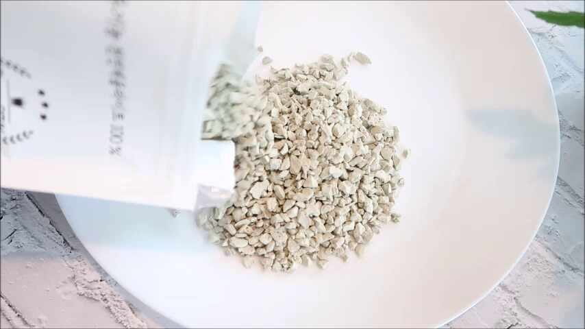 Tractor-mounted spreader dispersing a light-colored fertilizer mix over a corn field under a clear s