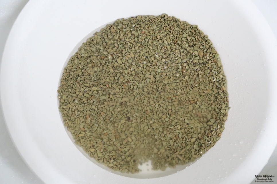 Wide shot of a lush crop field or paddy with healthy growth under a clear sky