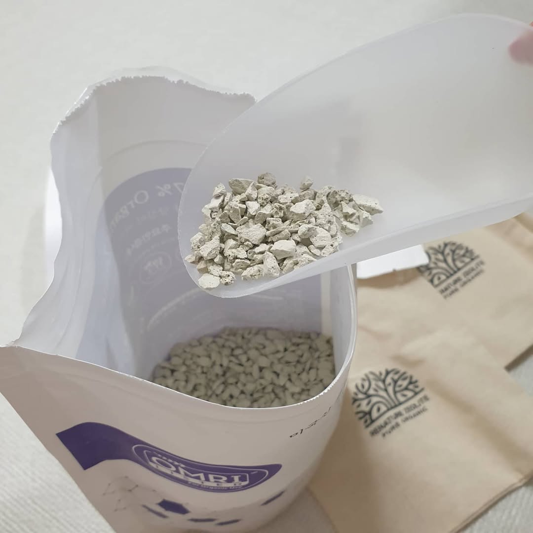 90일 실험으로 본 뿌리 발달 변화 blog image 6