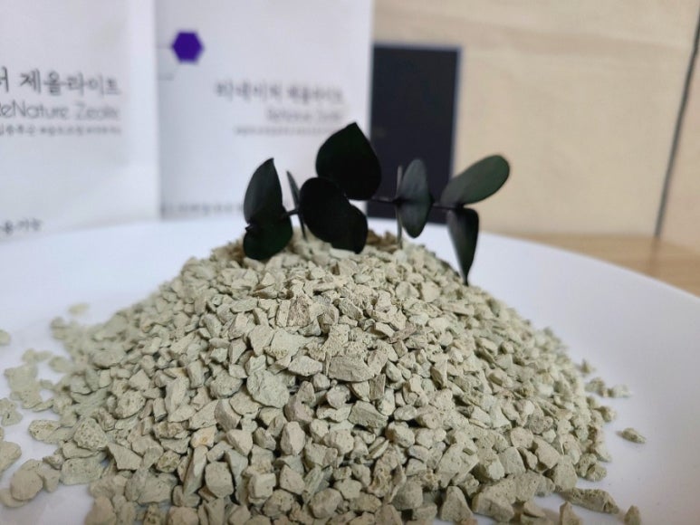 제올라이트, 몰랐던 놀라운 효과 5가지!