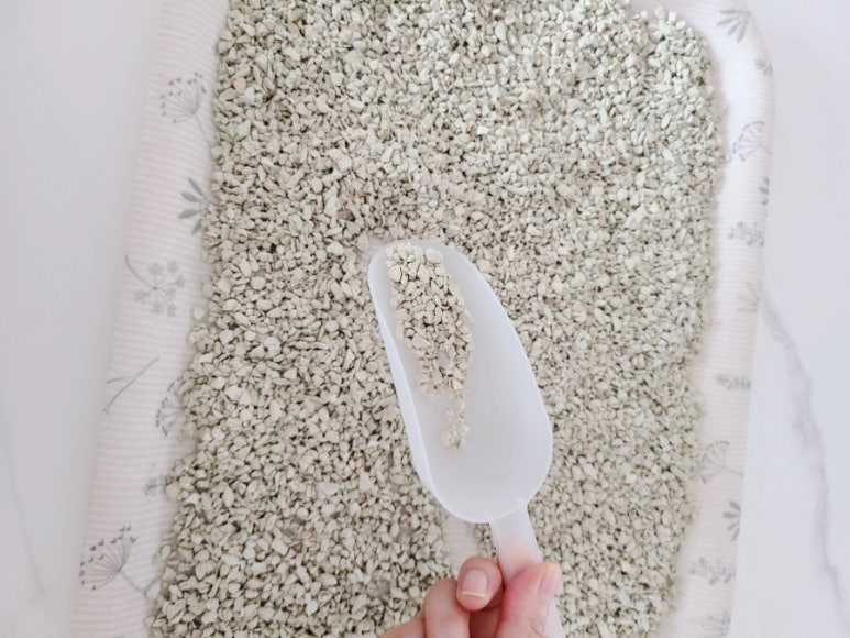 고양이 냄새 예민함, 제올라이트로 안전하게&nbsp;관리하기